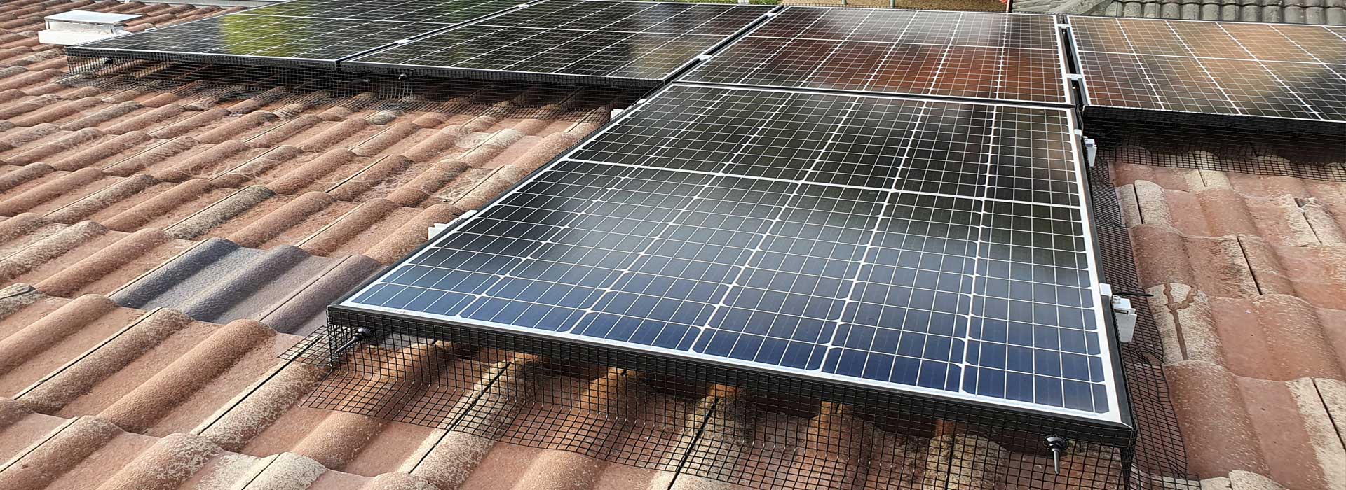 Solar Panel Bird Proofing